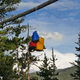 Image for article titled National Forest Service Recommends Campers Tie Up Their Food To Avoid Attracting Other Visitors